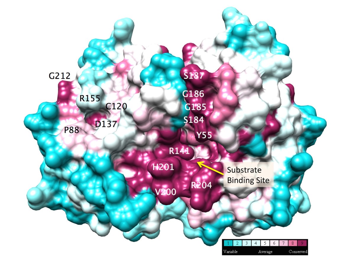 Figure 7