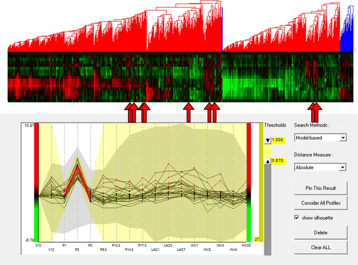 Figure 13