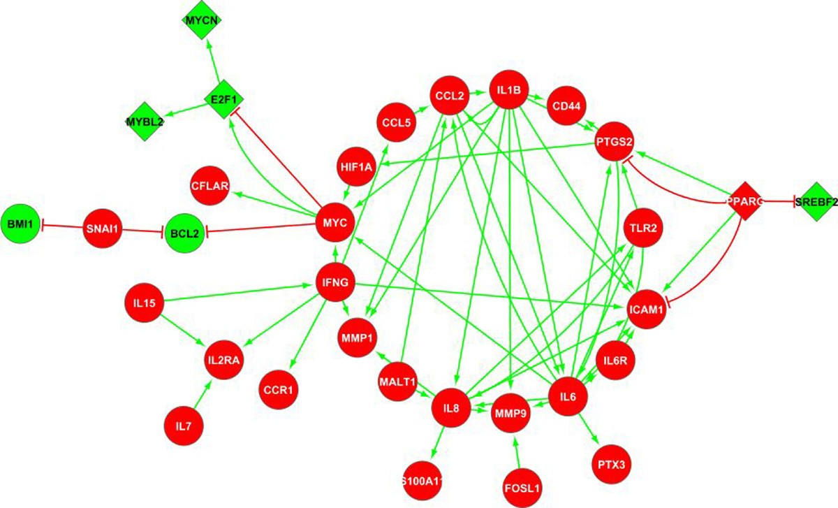 Figure 5