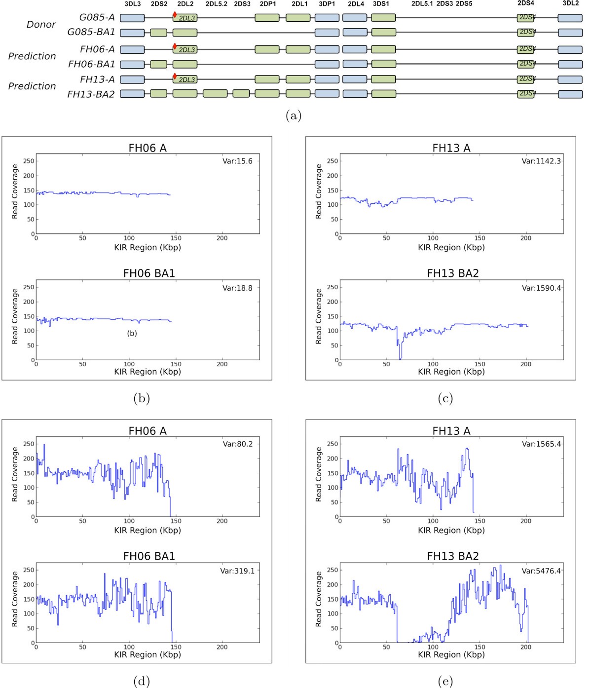 Figure 5