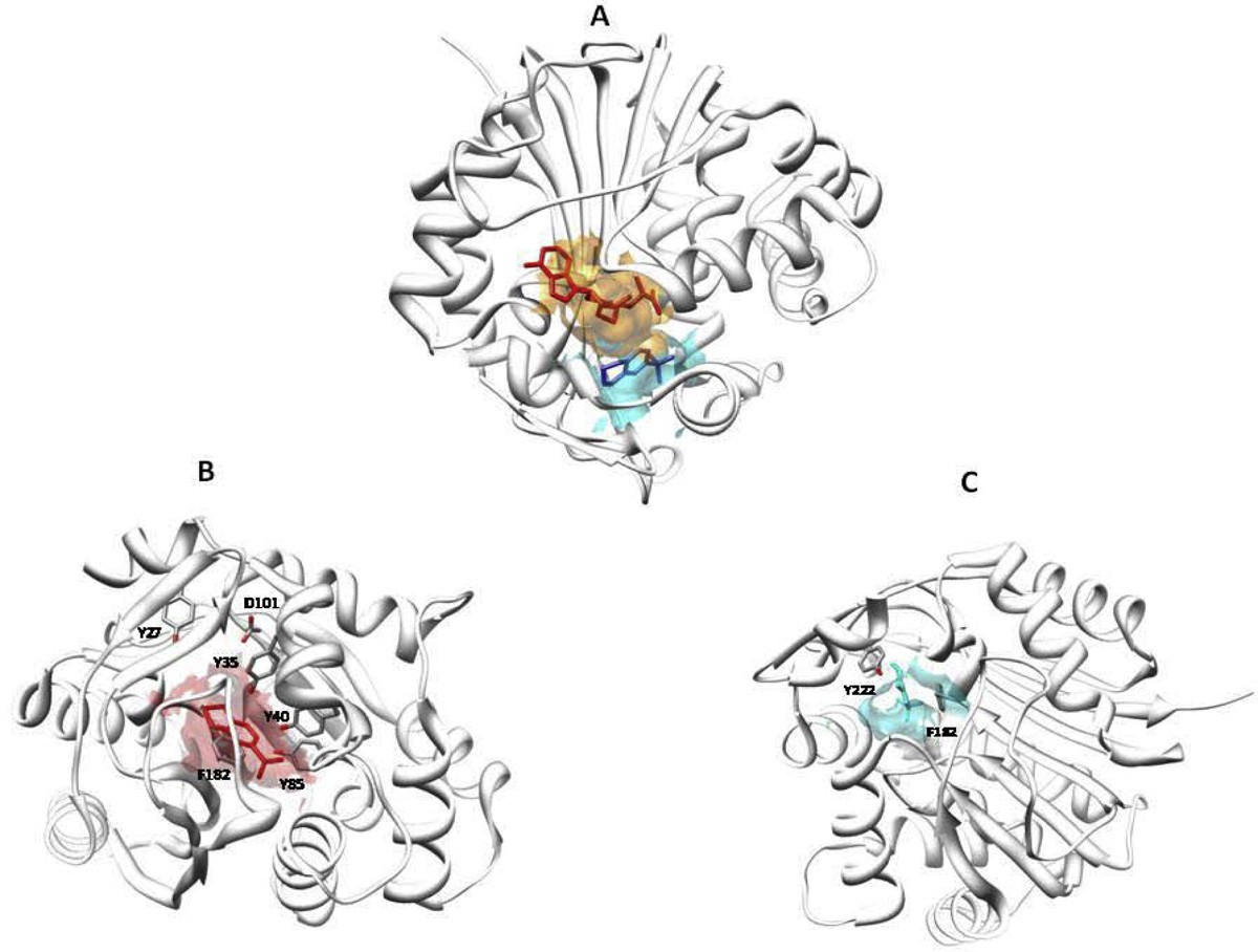 Figure 5