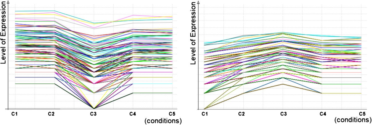 Figure 20