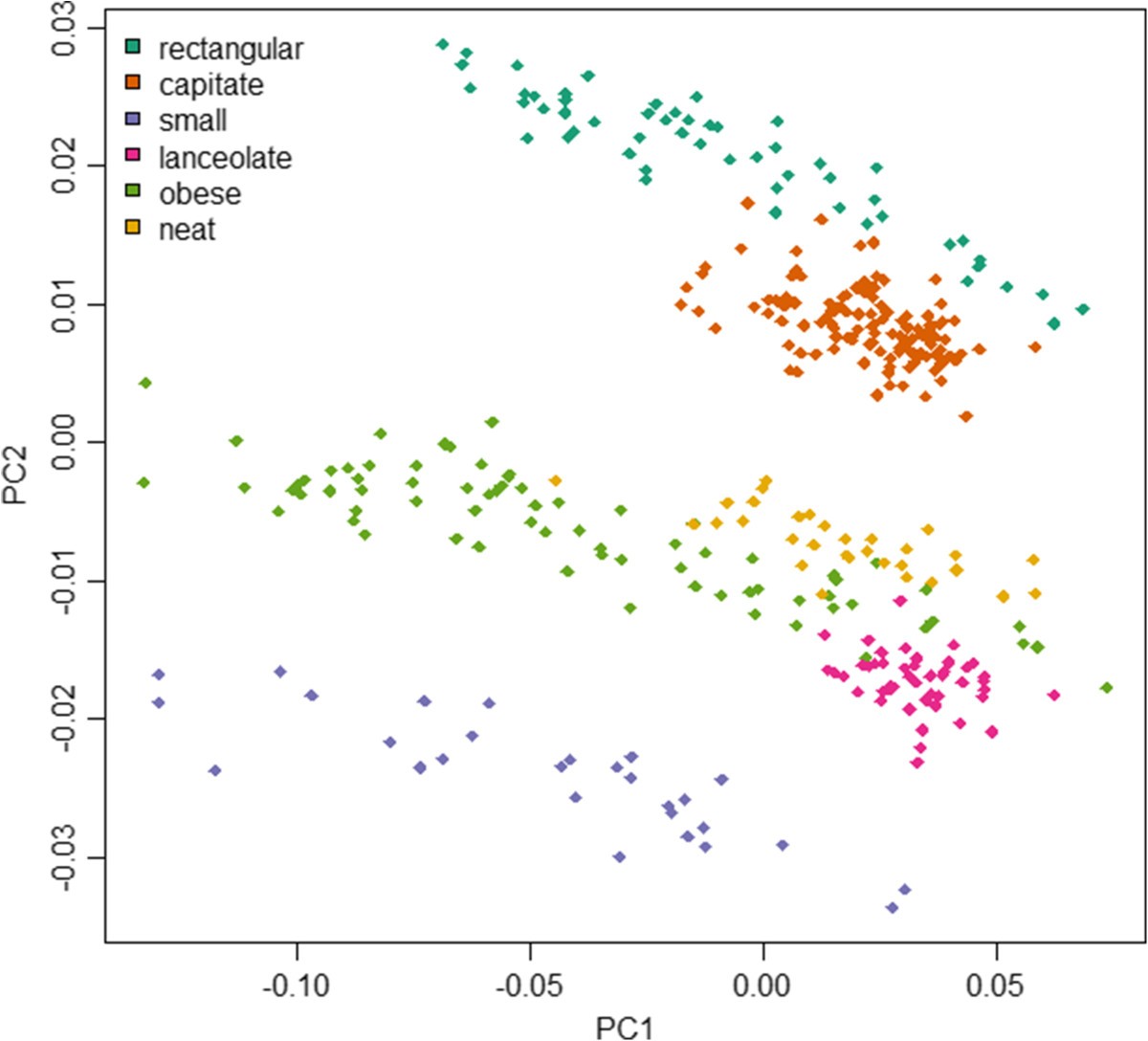 Figure 15