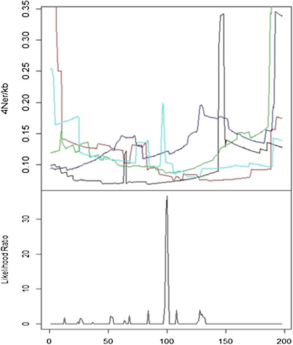 Figure 5