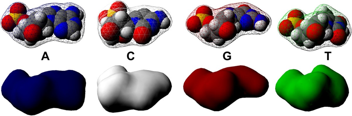 Figure 6