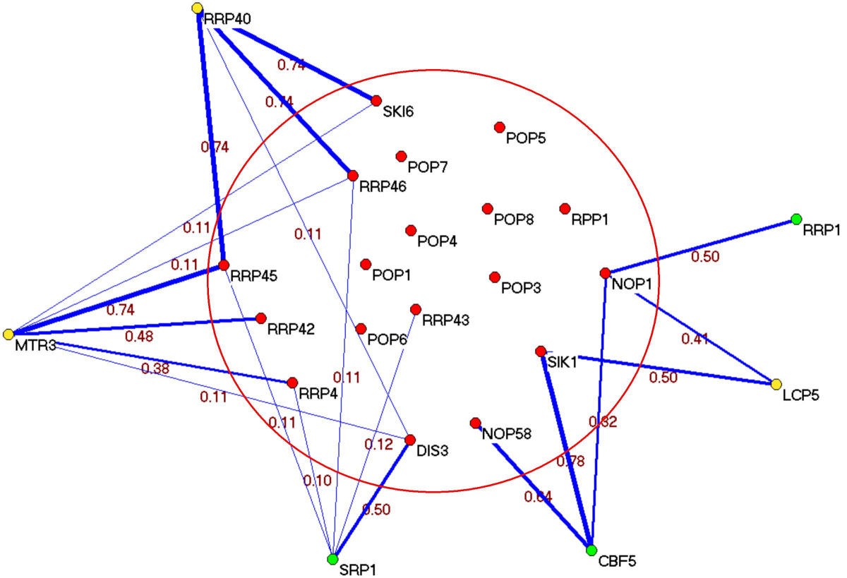 Figure 4