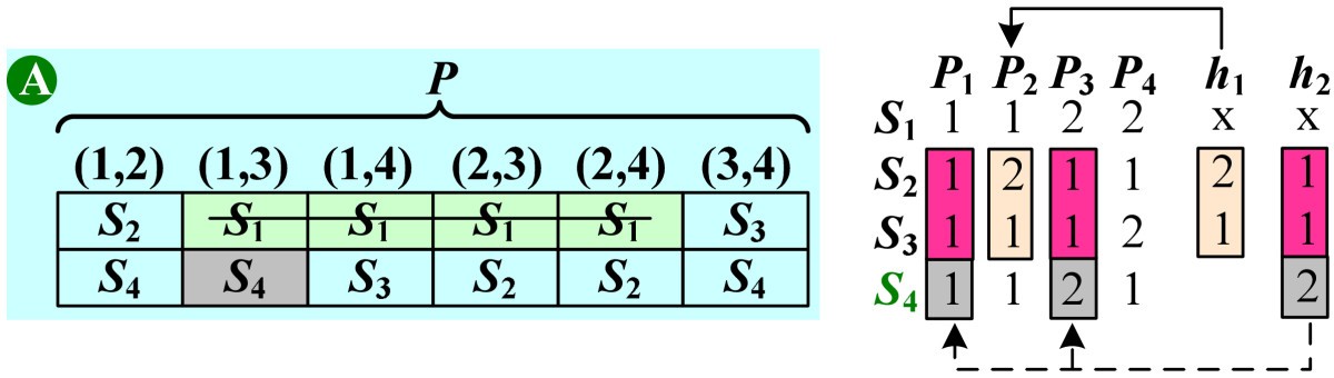 Figure 11