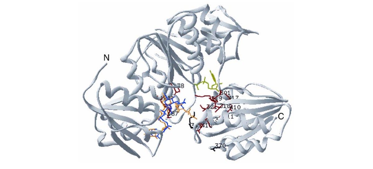 Figure 5