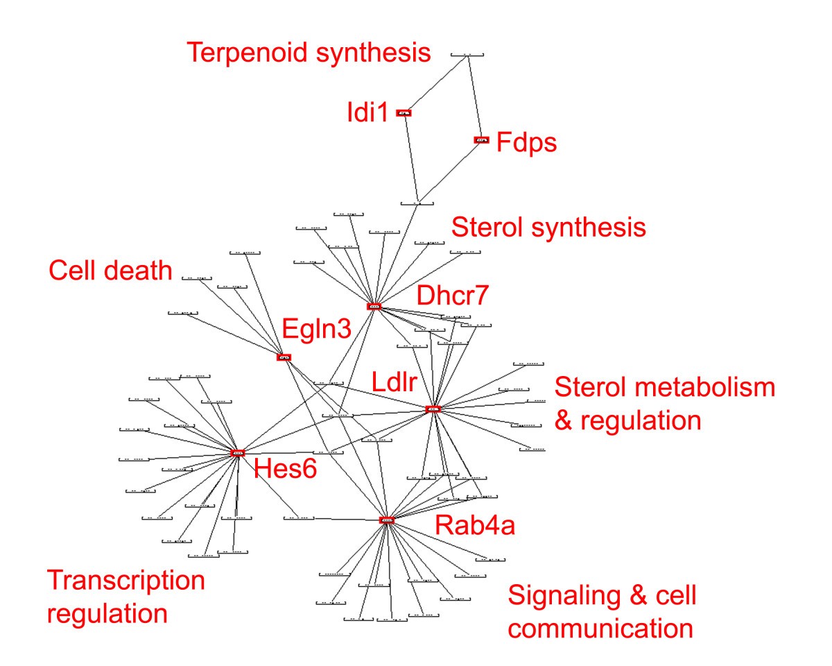 Figure 14