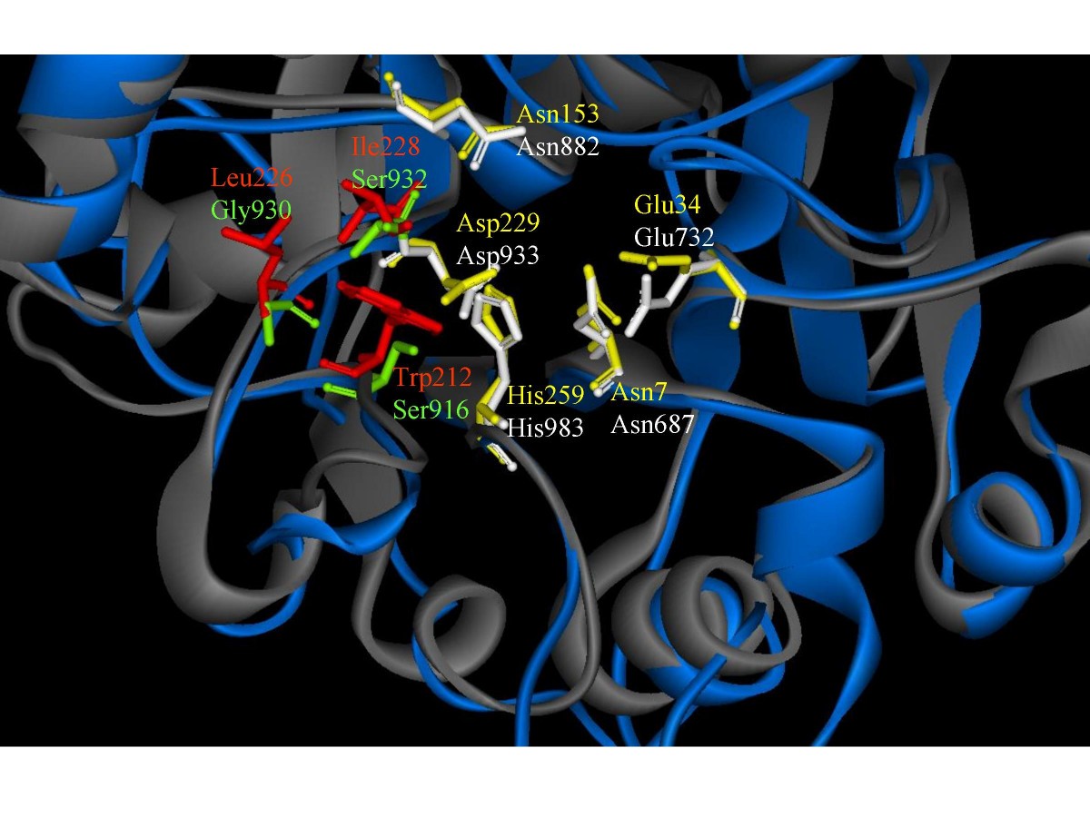 Figure 7