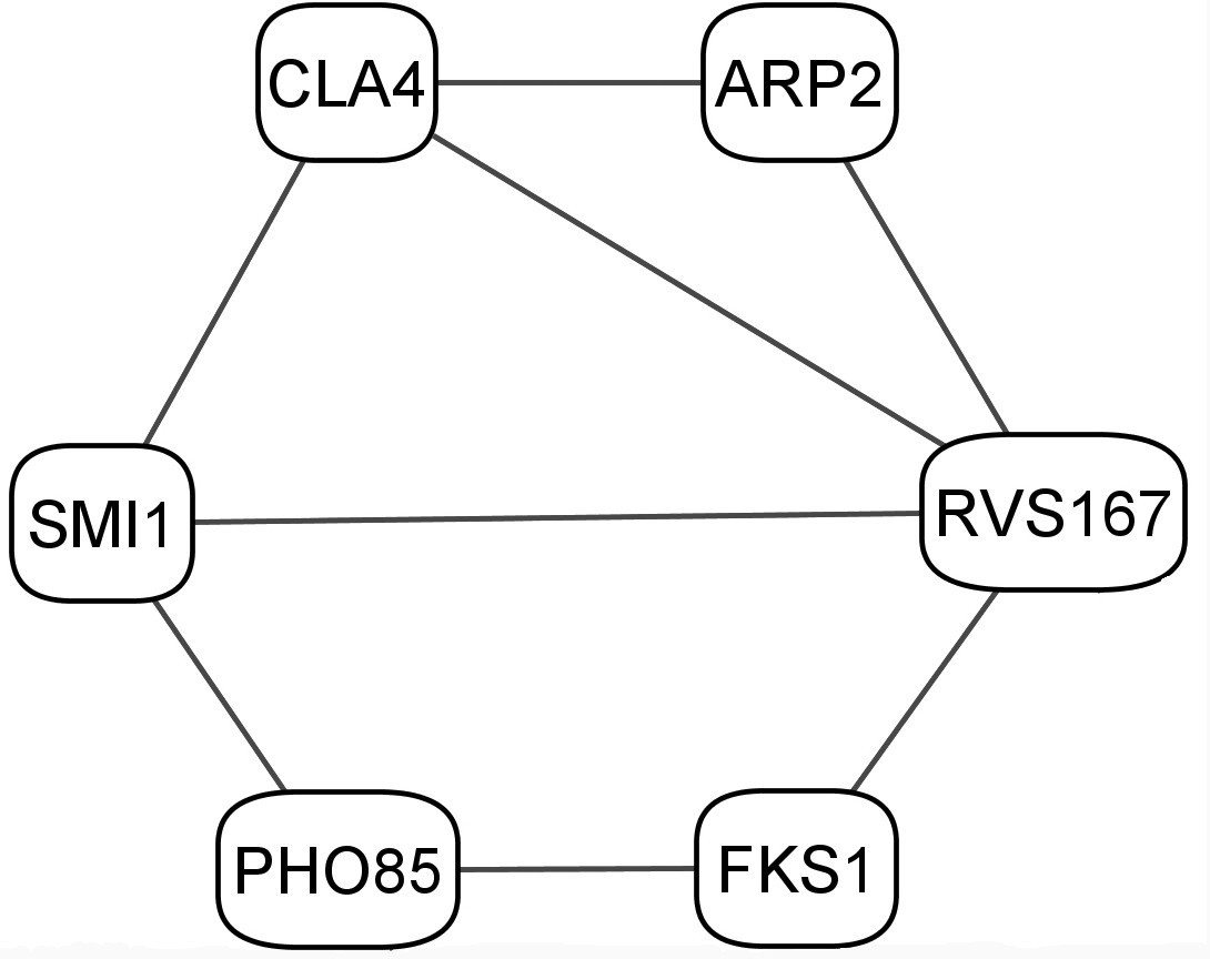 Figure 5