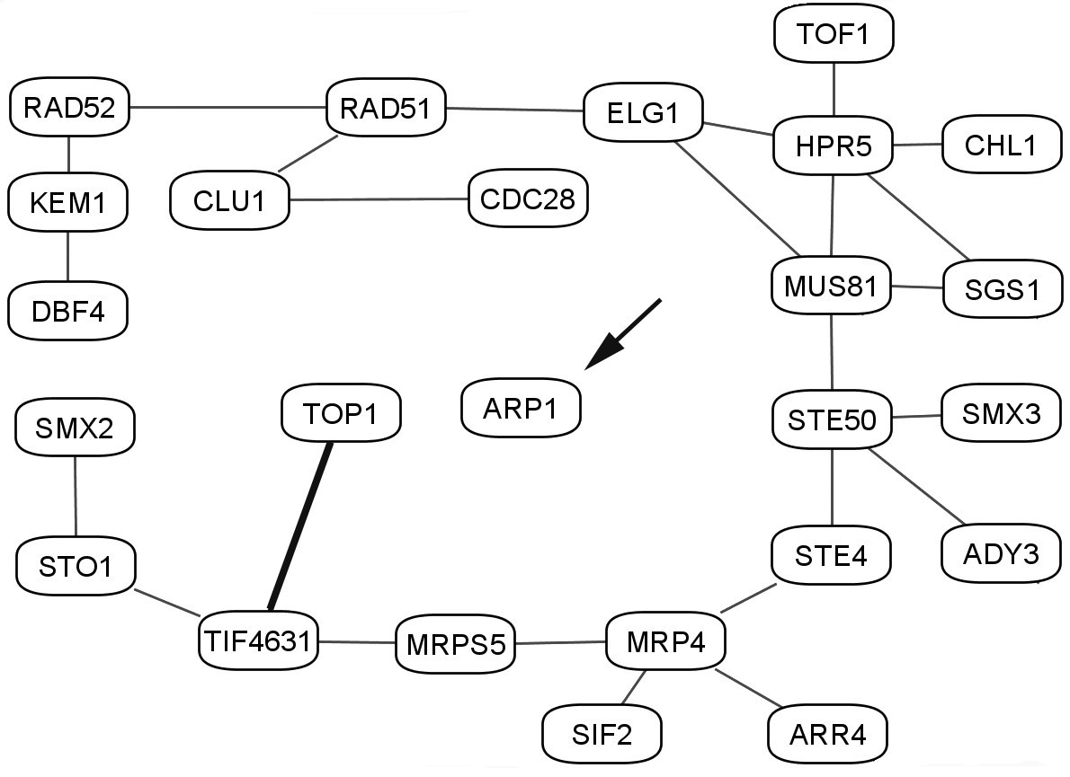 Figure 9