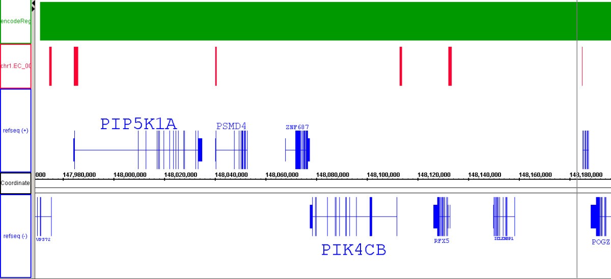 Figure 10