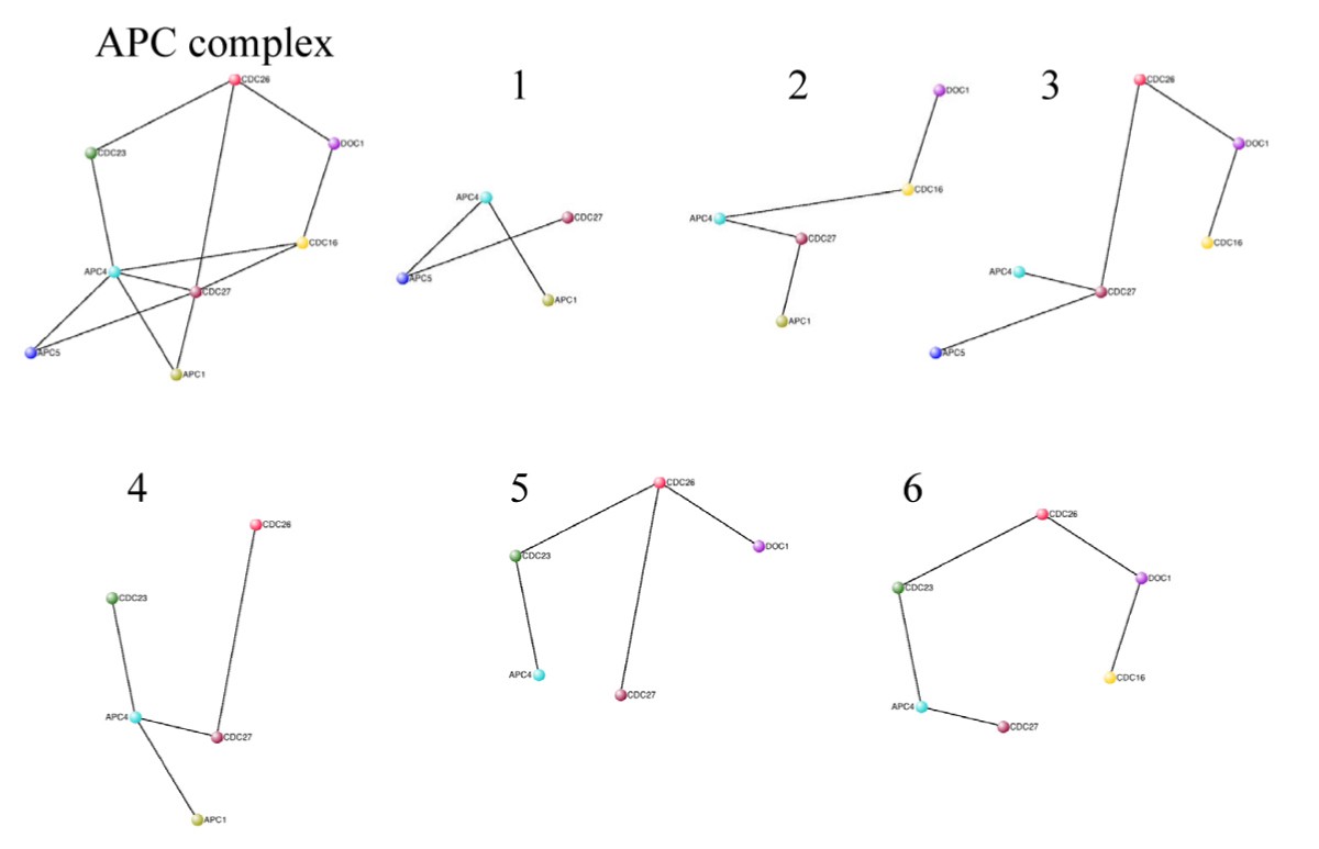 Figure 5