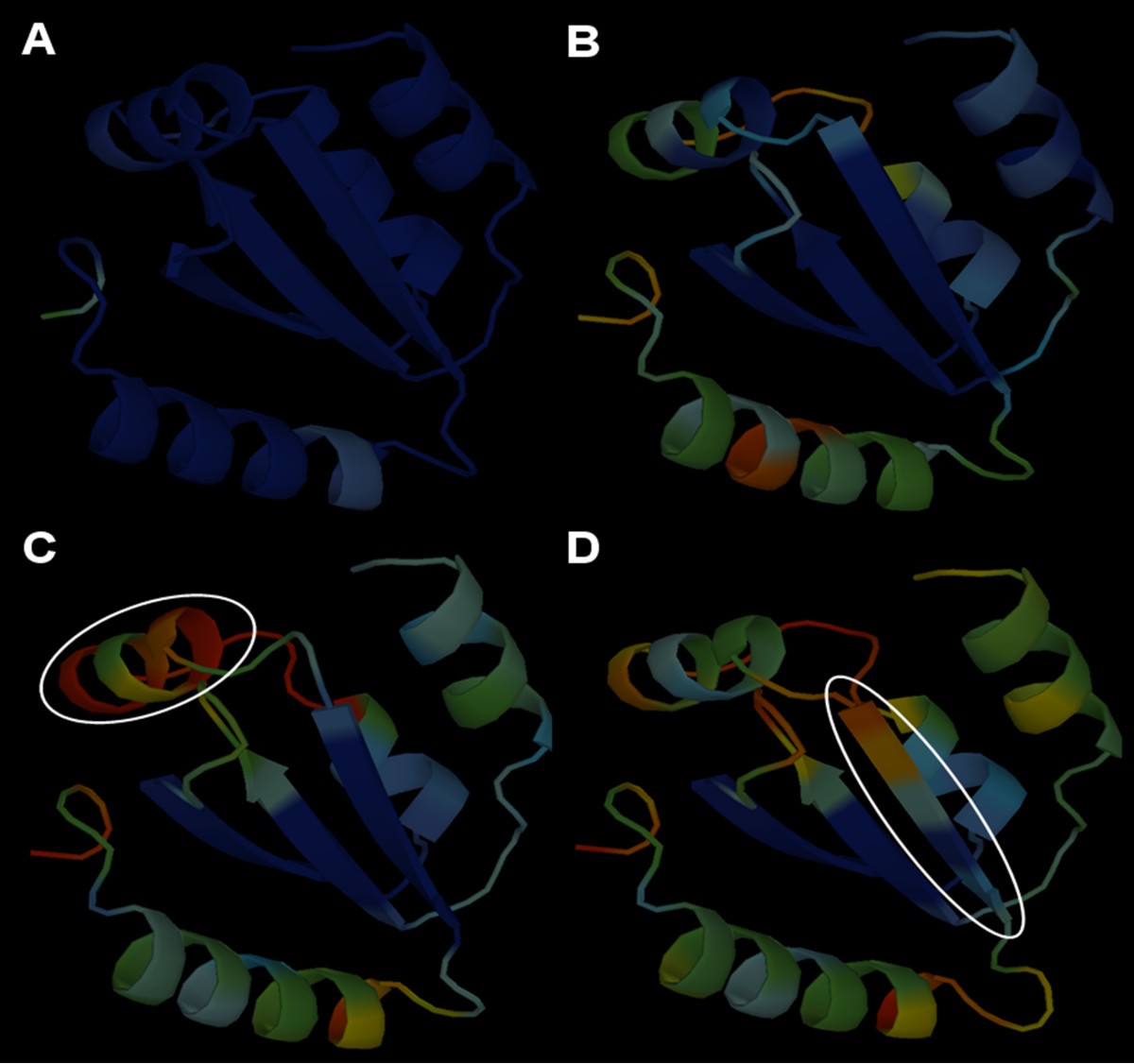 Figure 9