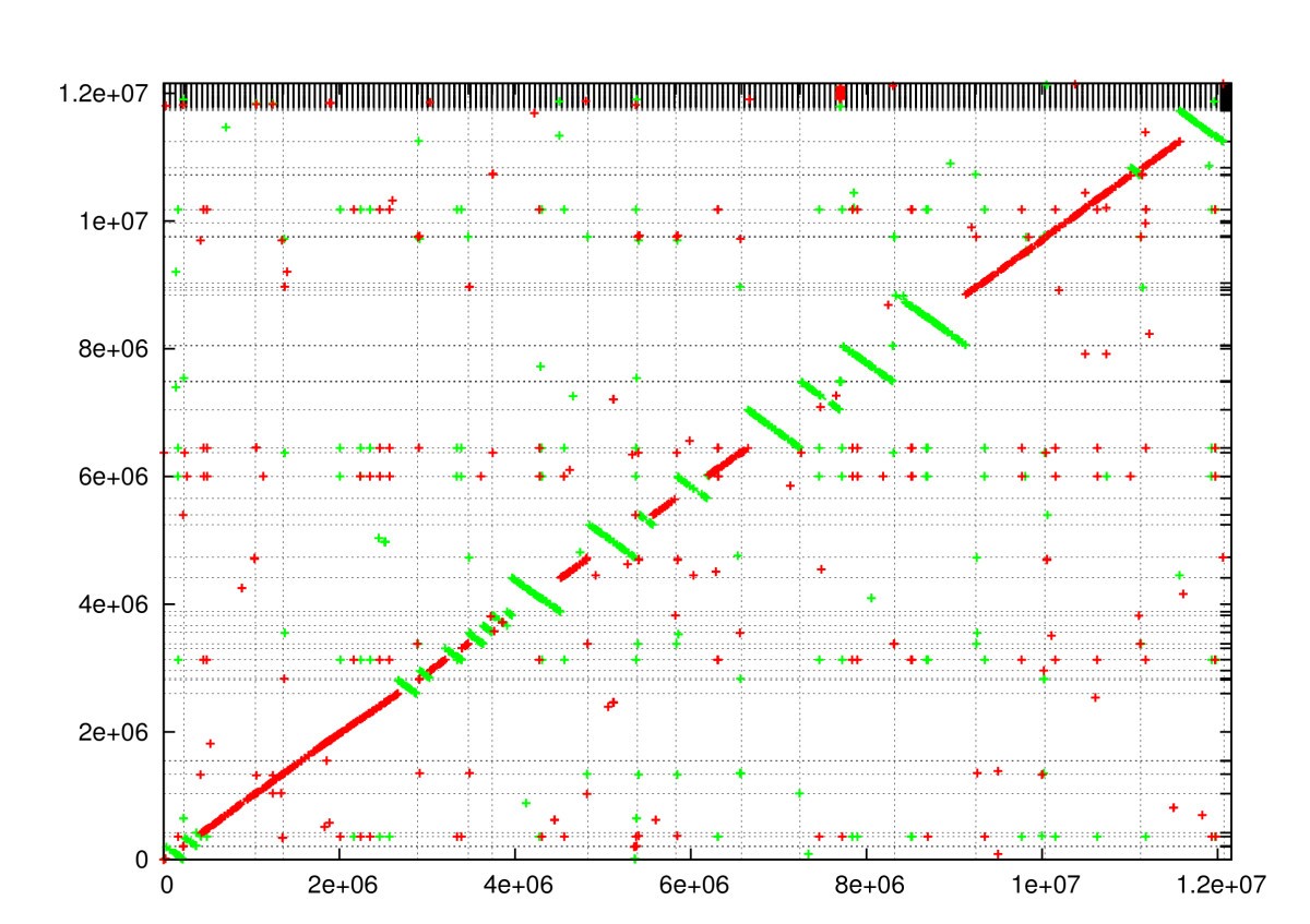 Figure 7