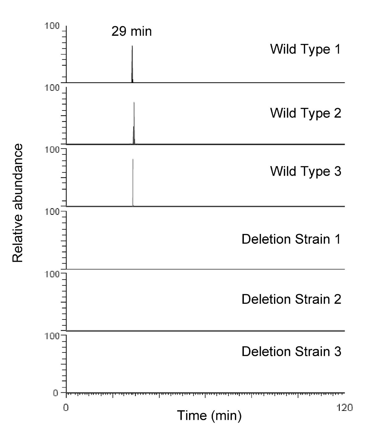 Figure 11