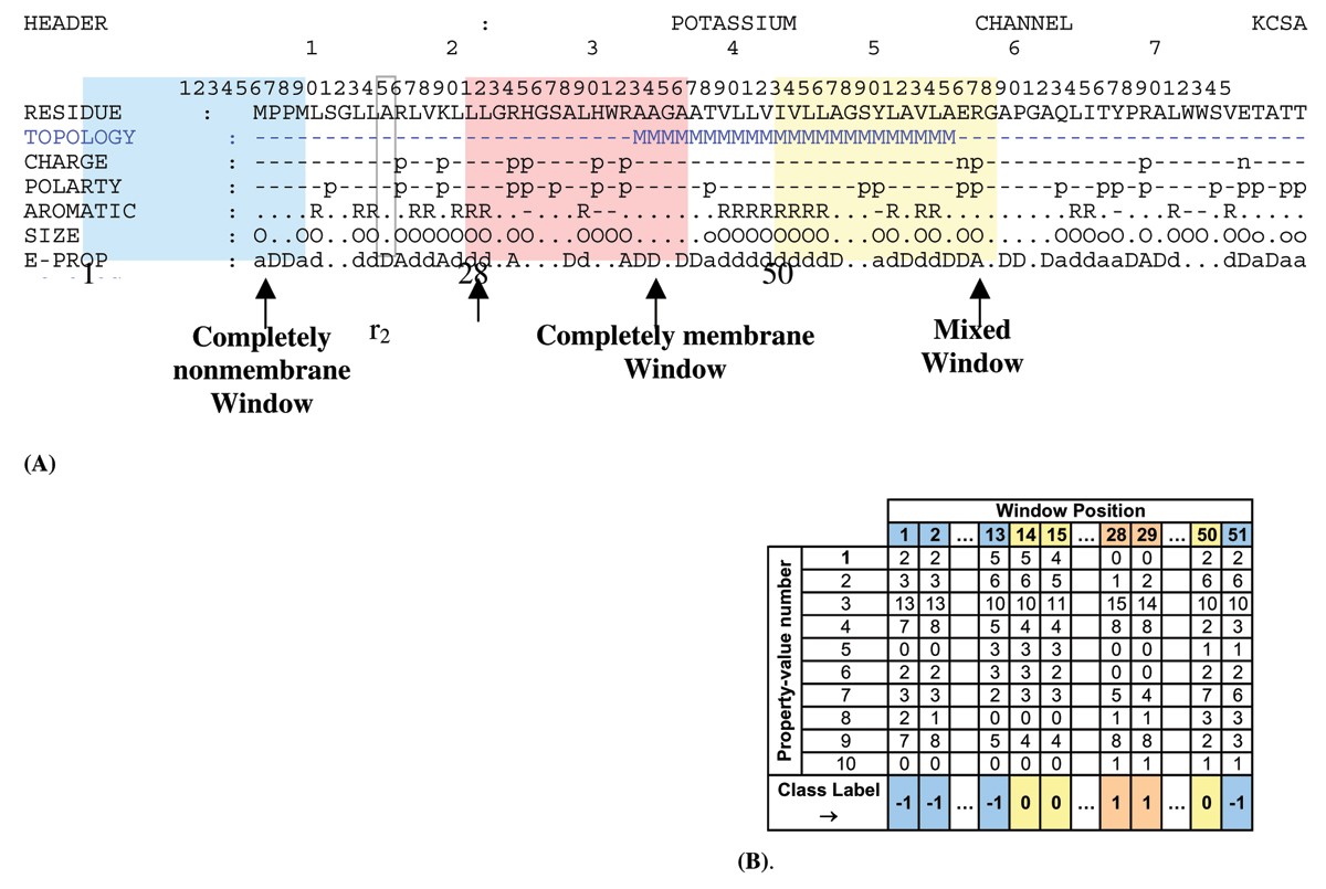 Transmembrane helix prediction using amino acid property features