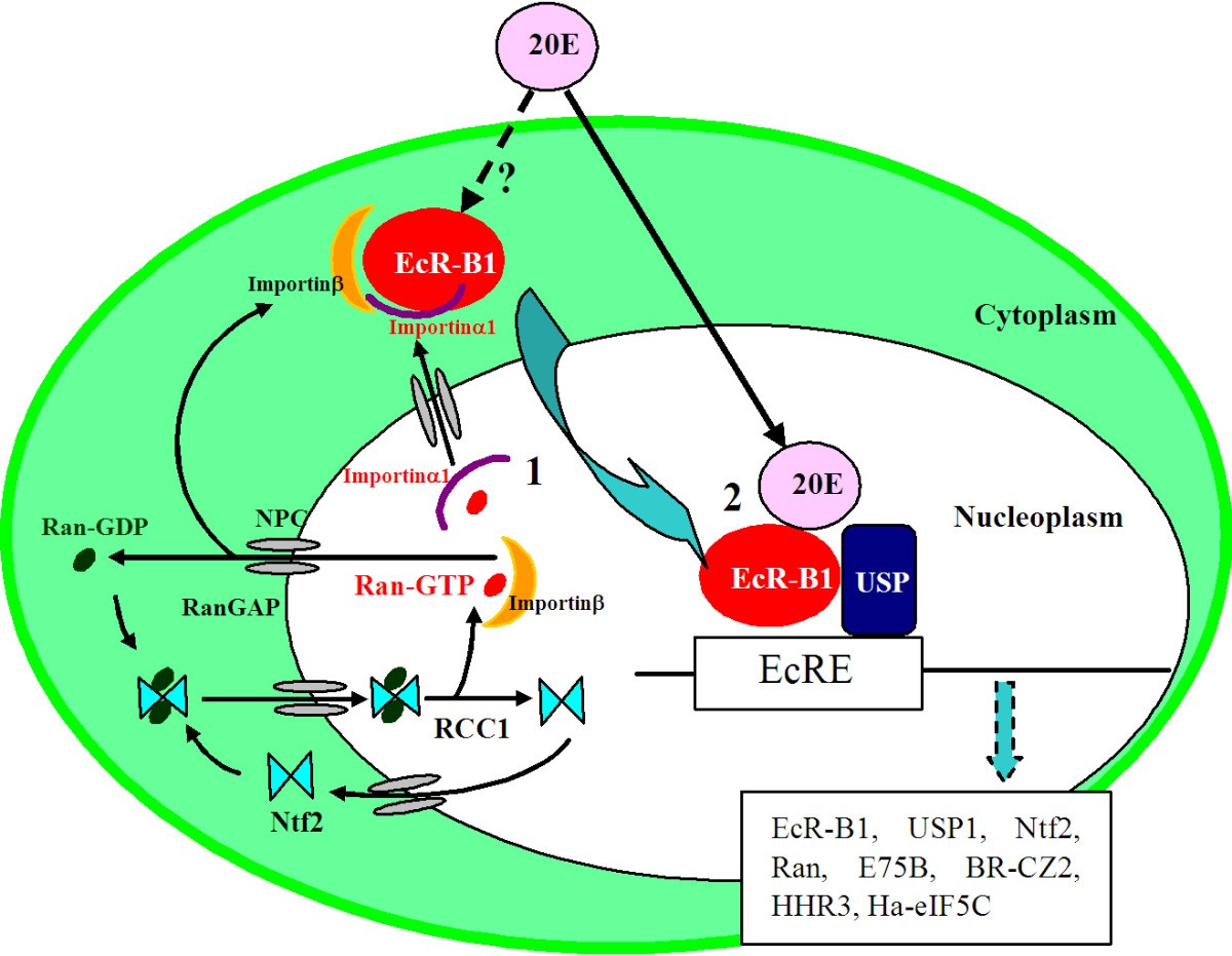 Figure 9