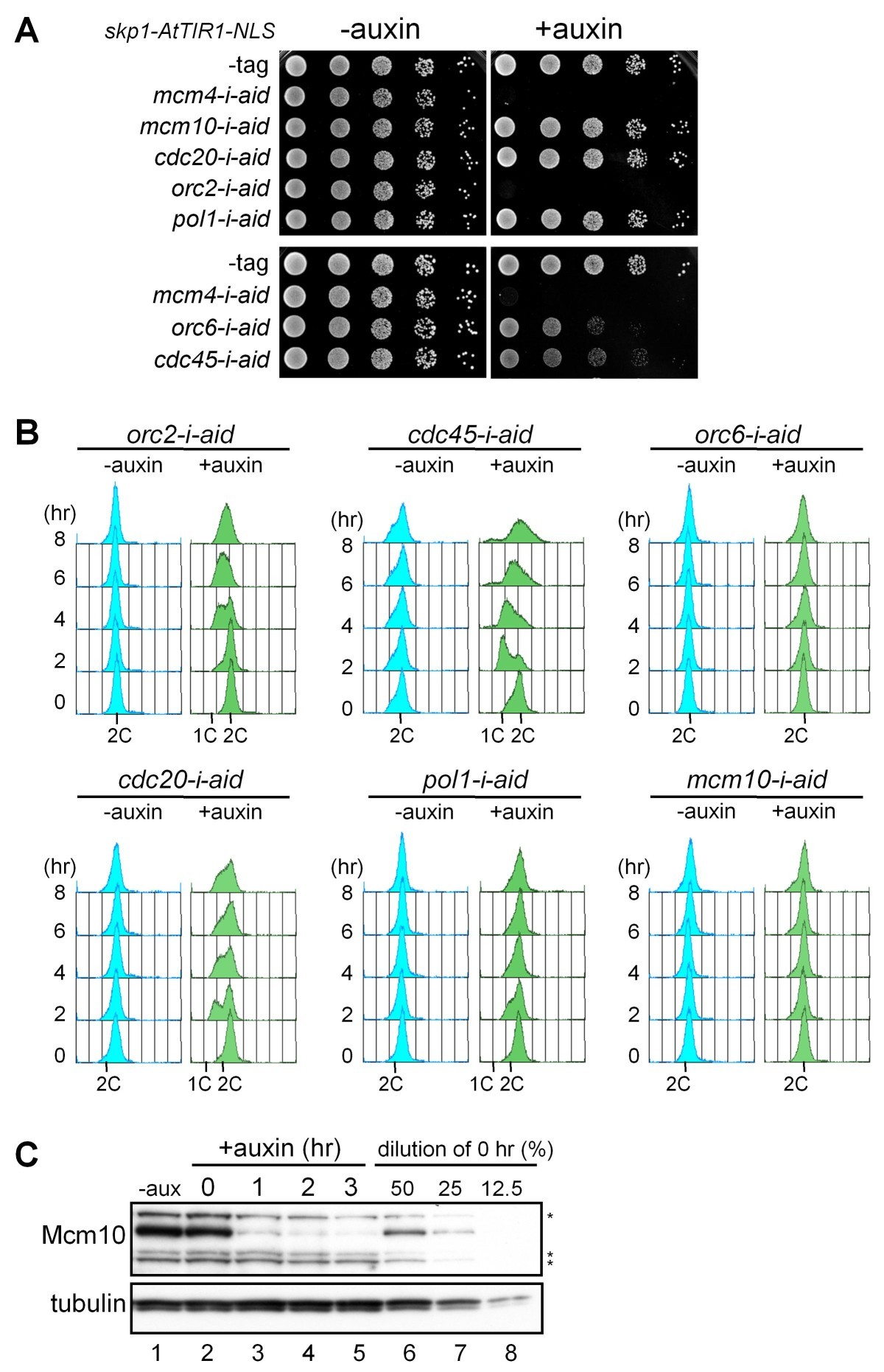 Figure 5