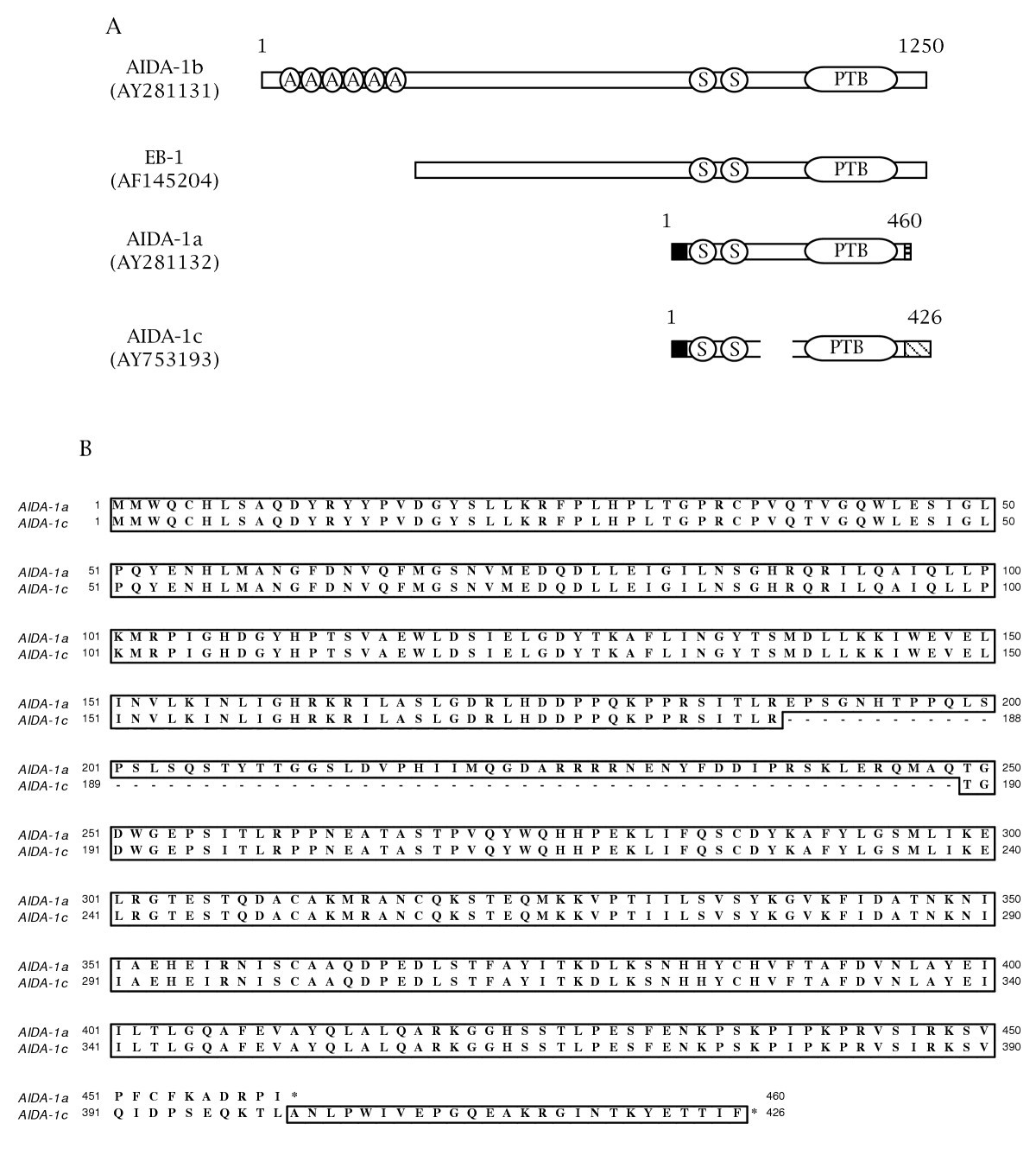 A Novel Eb 1 Aida 1 Isoform Aida 1c Interacts With The Cajal Body Protein Coilin Bmc Molecular And Cell Biology Full Text