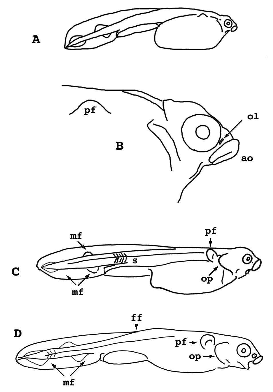 Figure 8