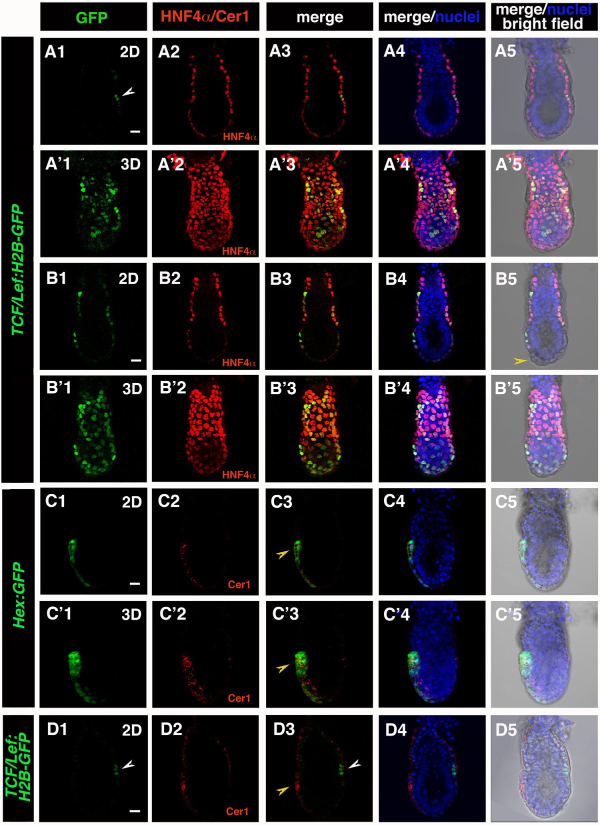 Figure 4