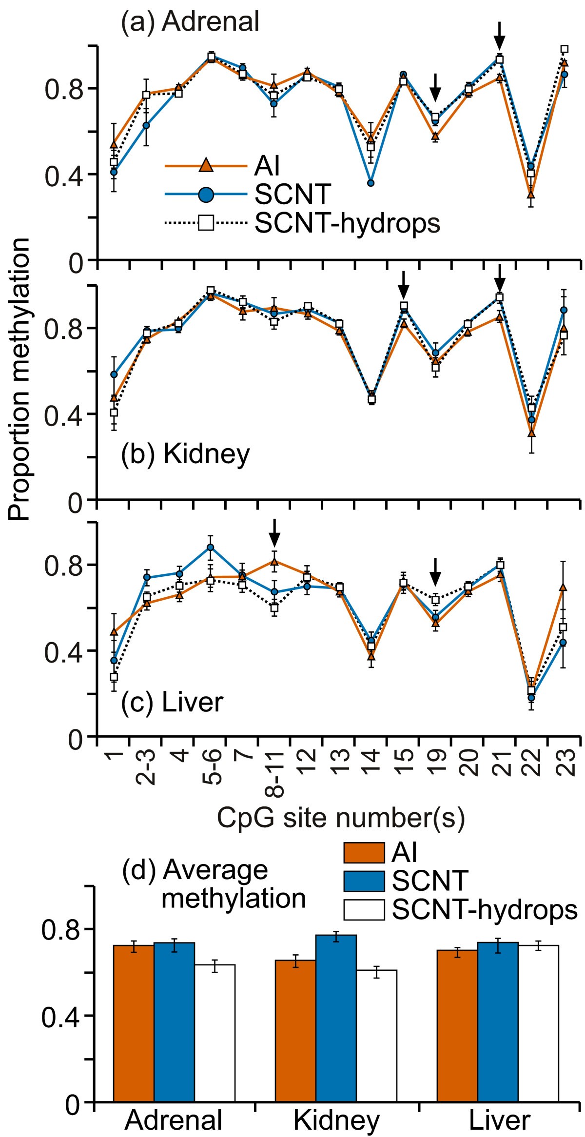 Figure 12