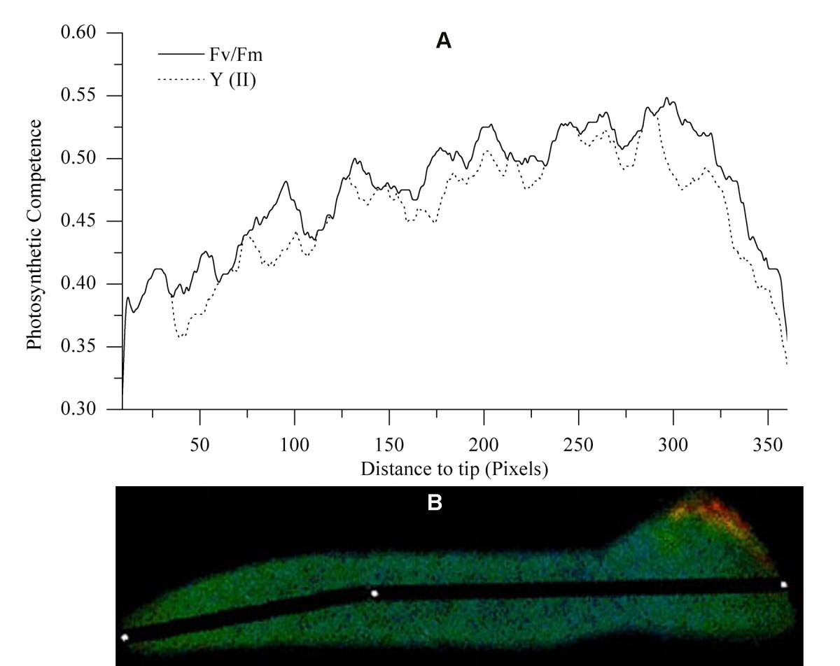 Figure 14