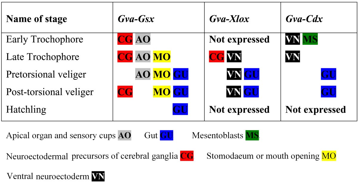 Figure 6