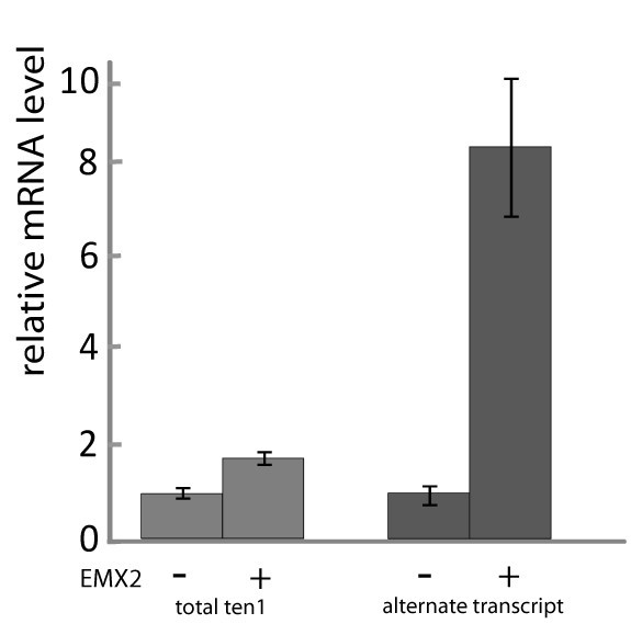 Figure 6