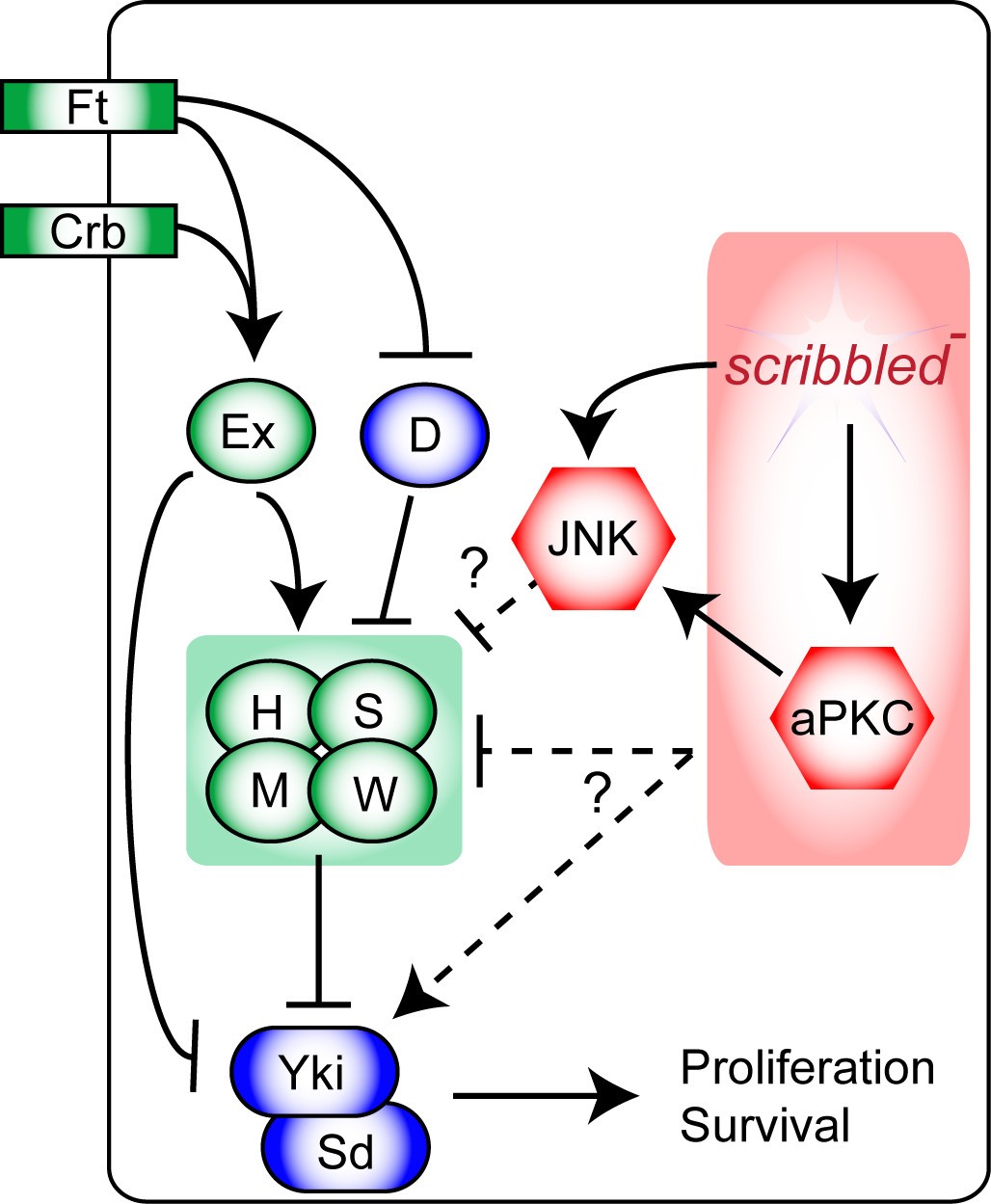 Figure 10