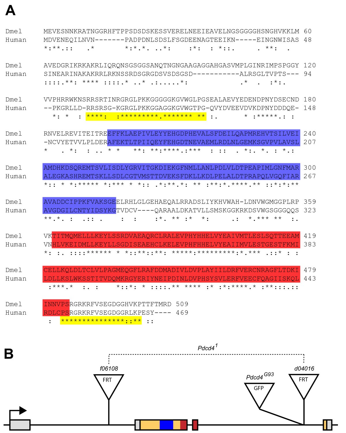 Figure 4