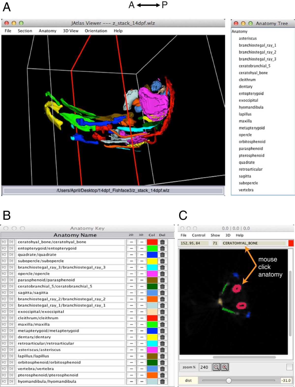 Figure 2