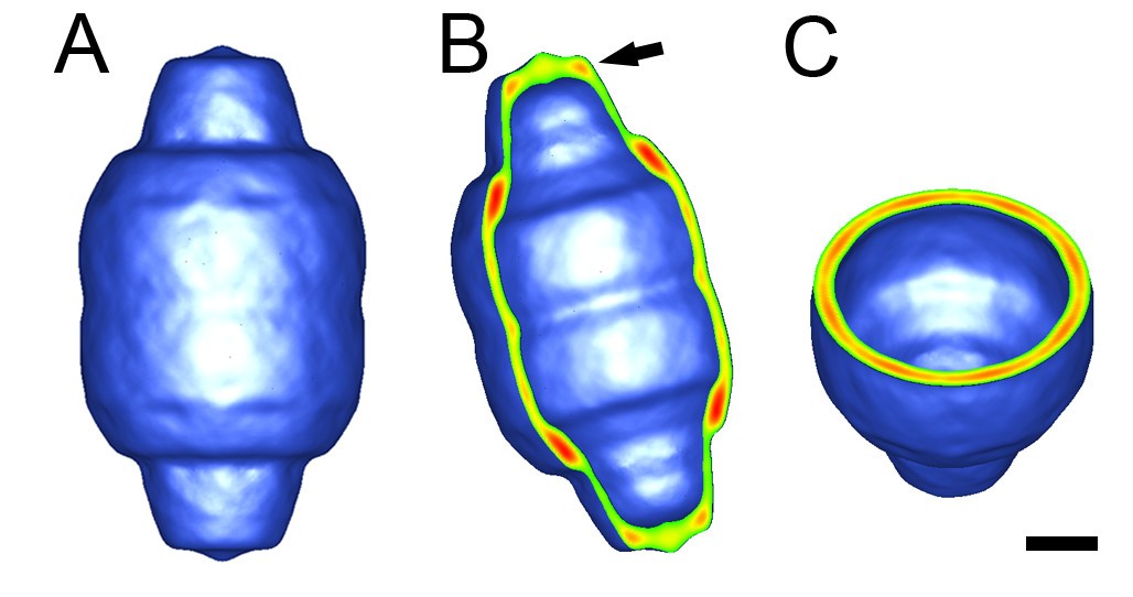 Figure 5