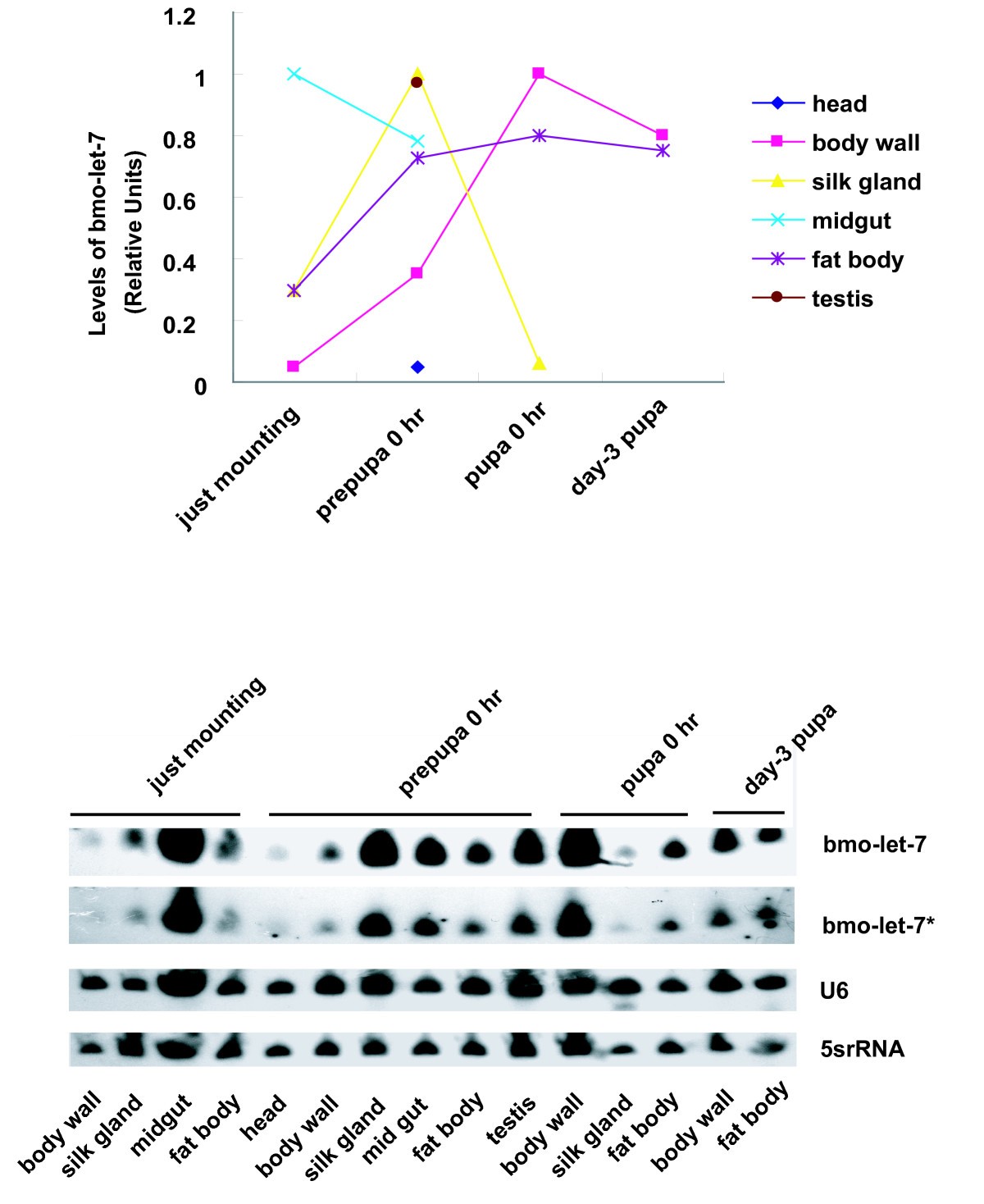 Figure 10