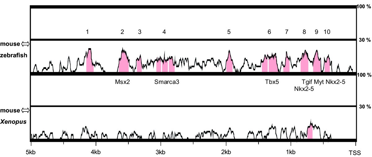 Figure 10