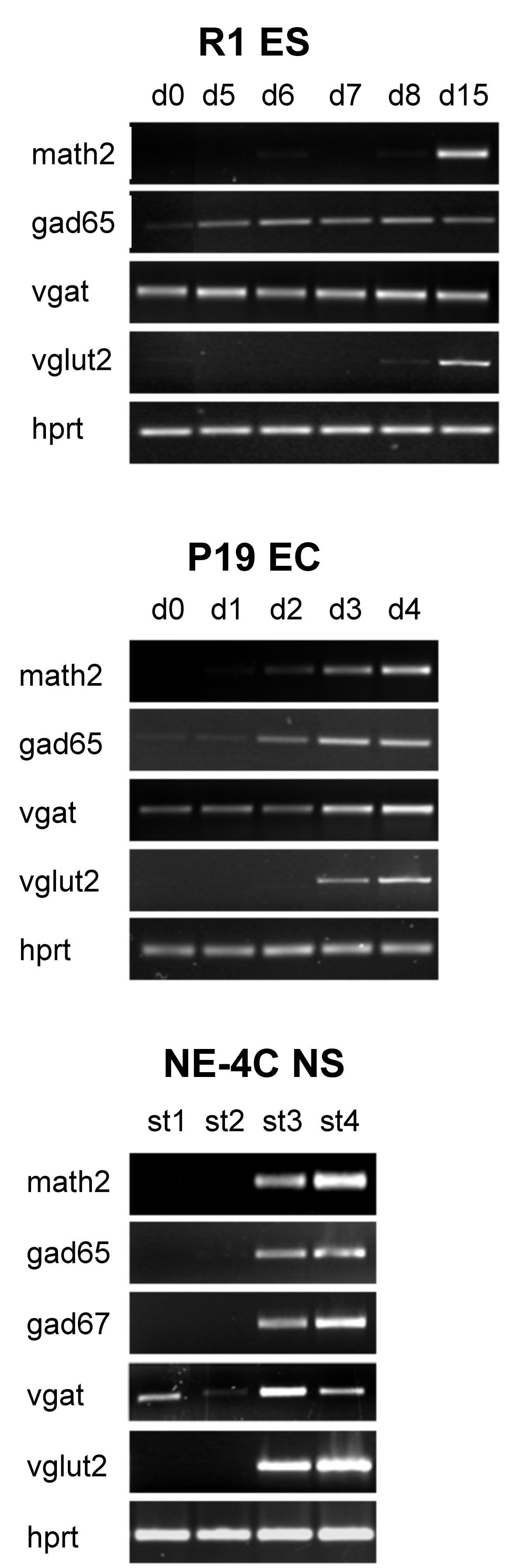 Figure 10