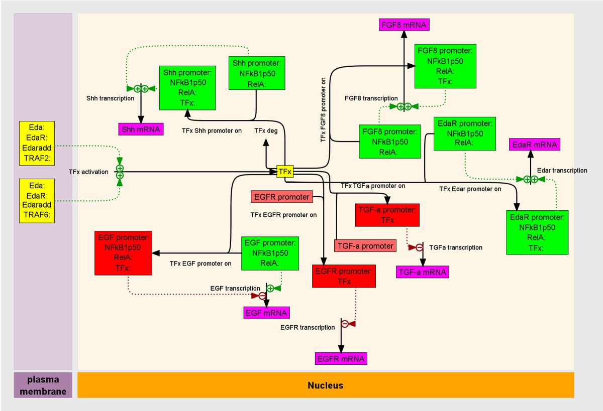 Figure 10