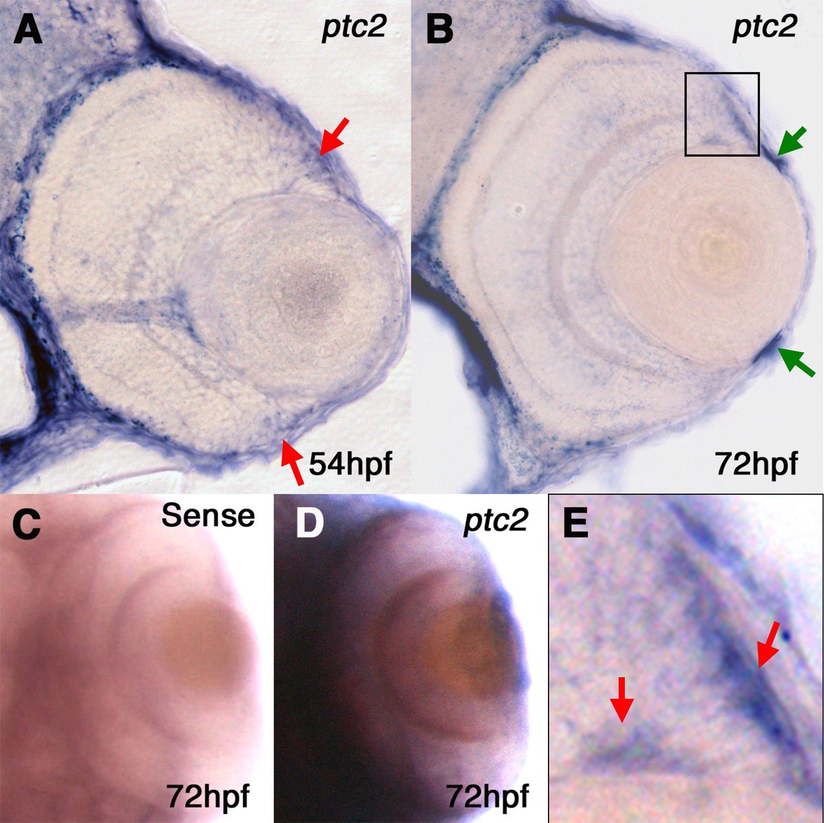 Figure 6