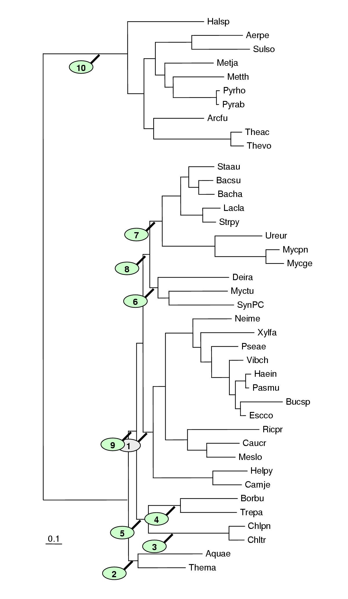 Figure 11