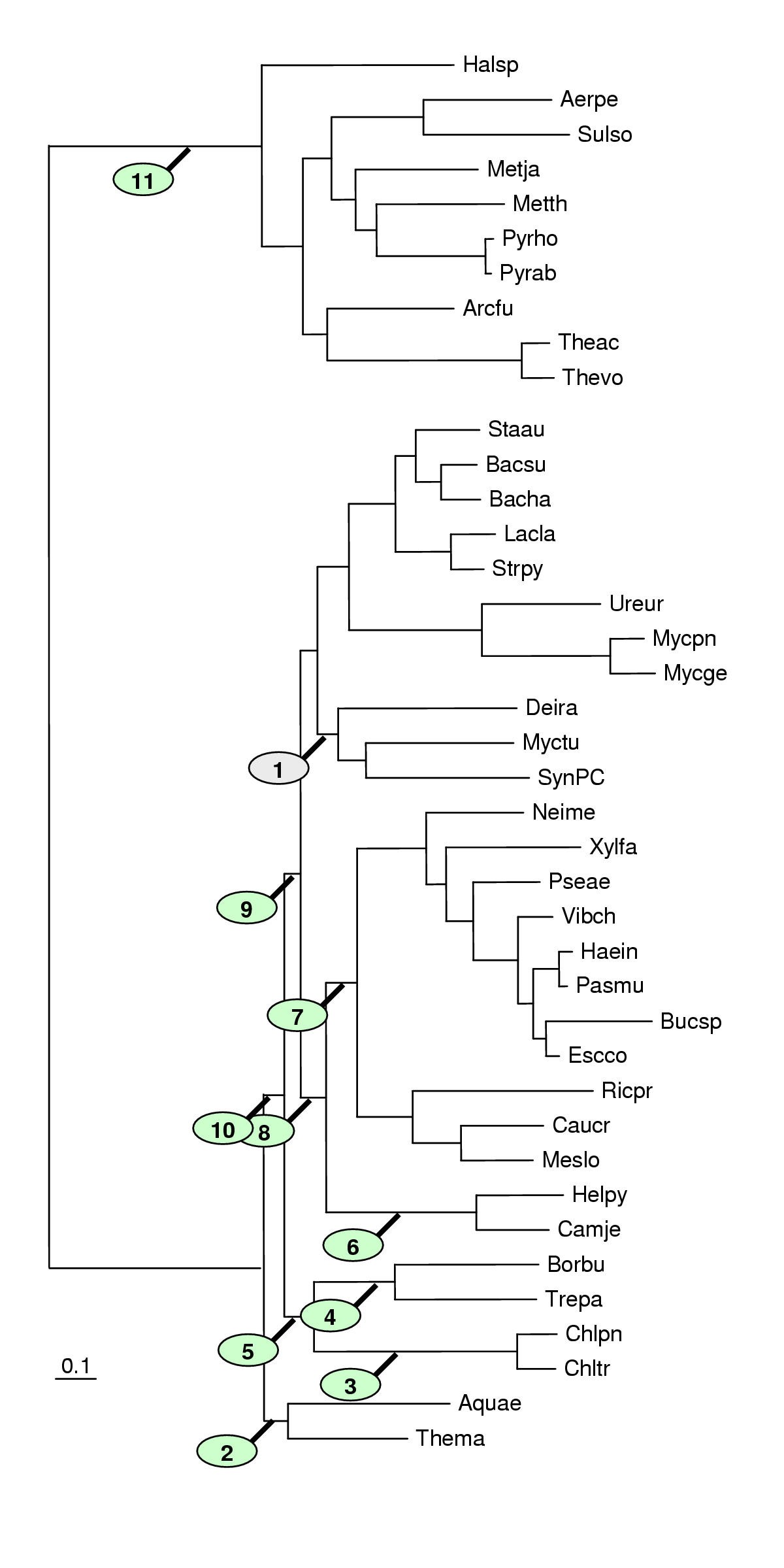 Figure 9