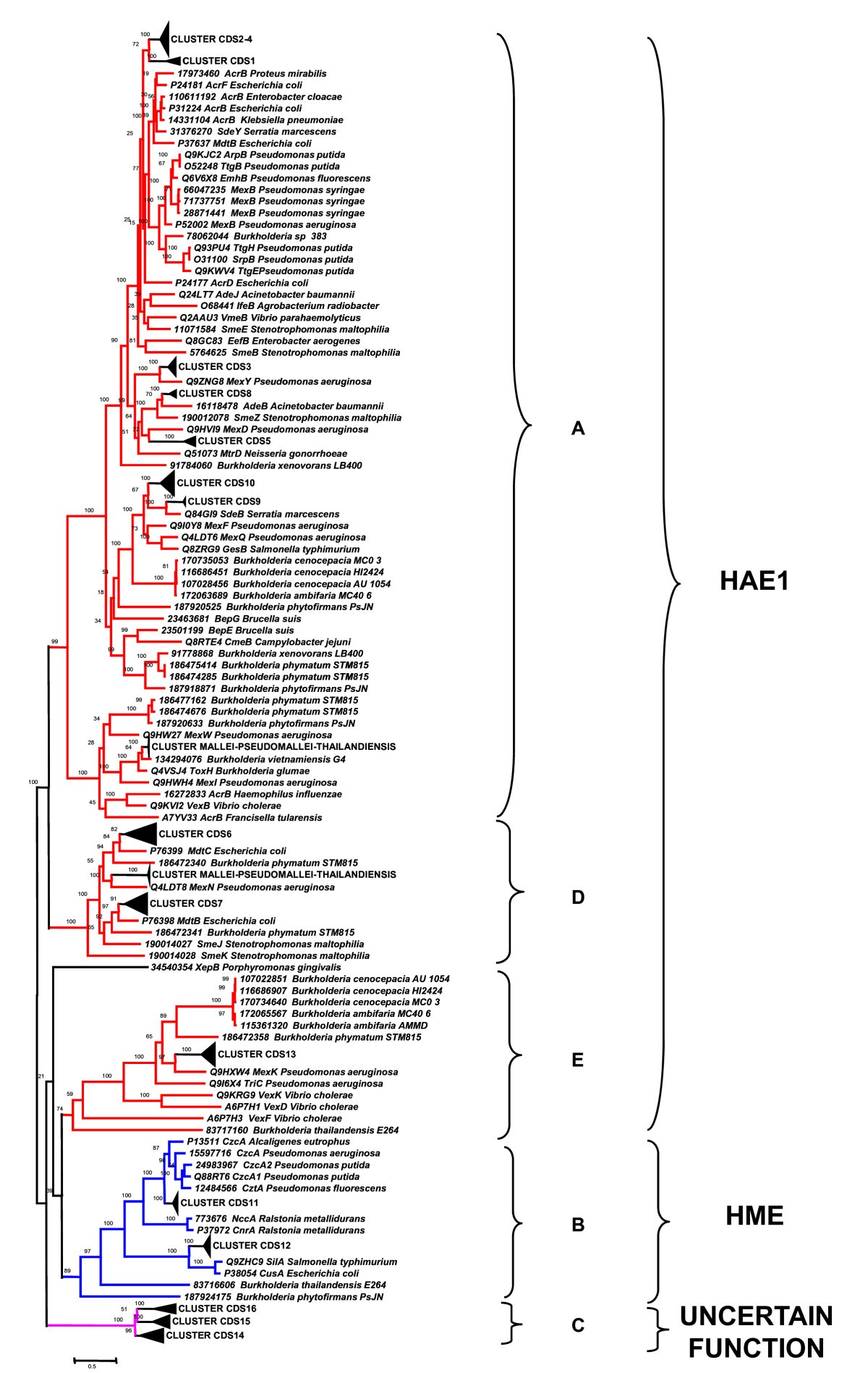 Figure 7