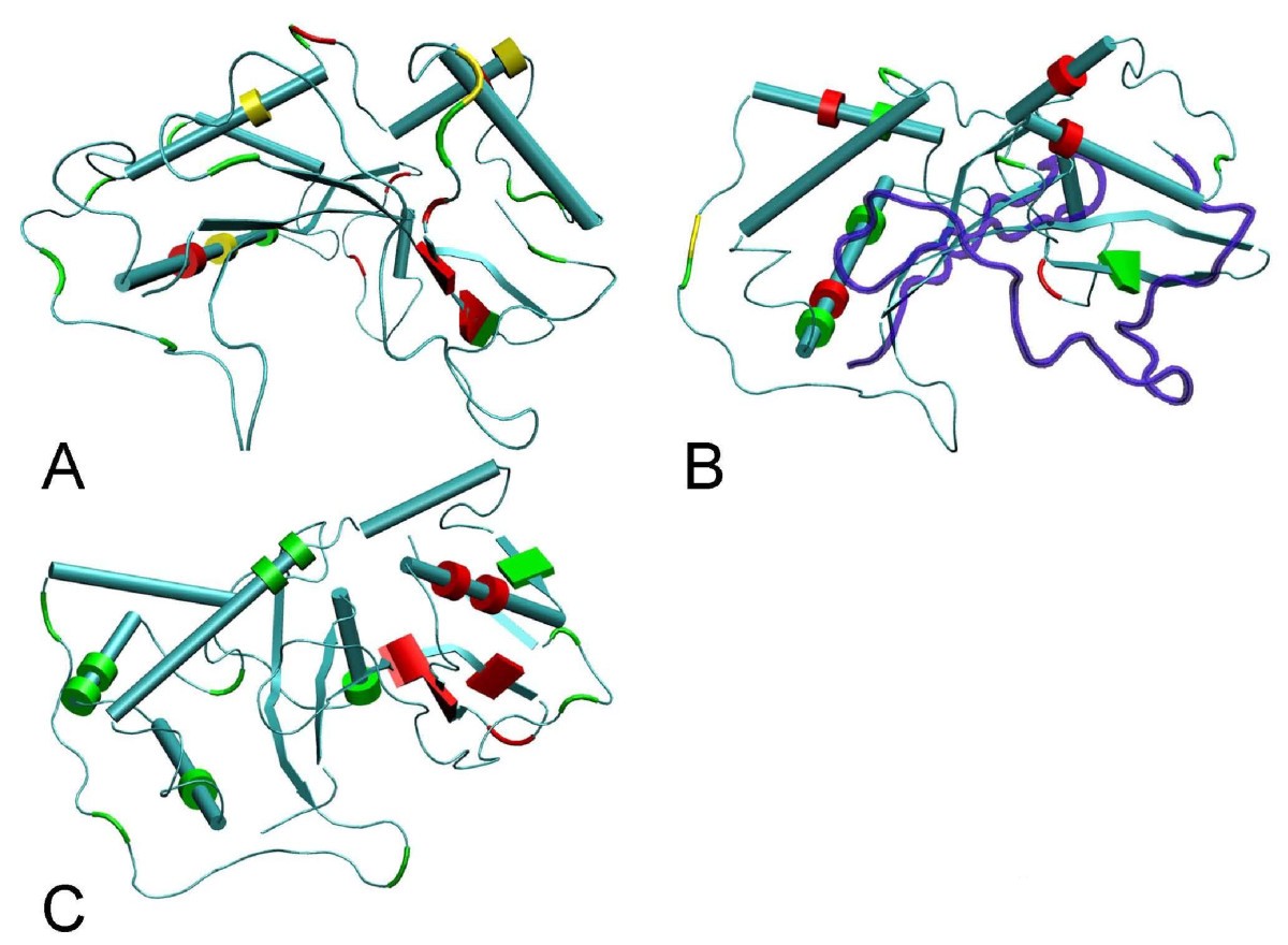 Figure 4