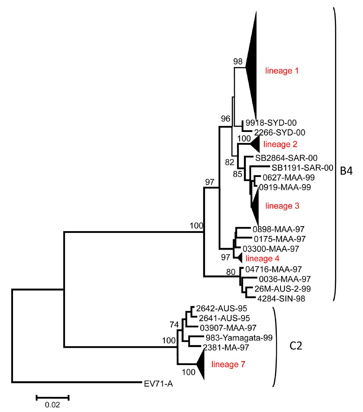 Figure 5