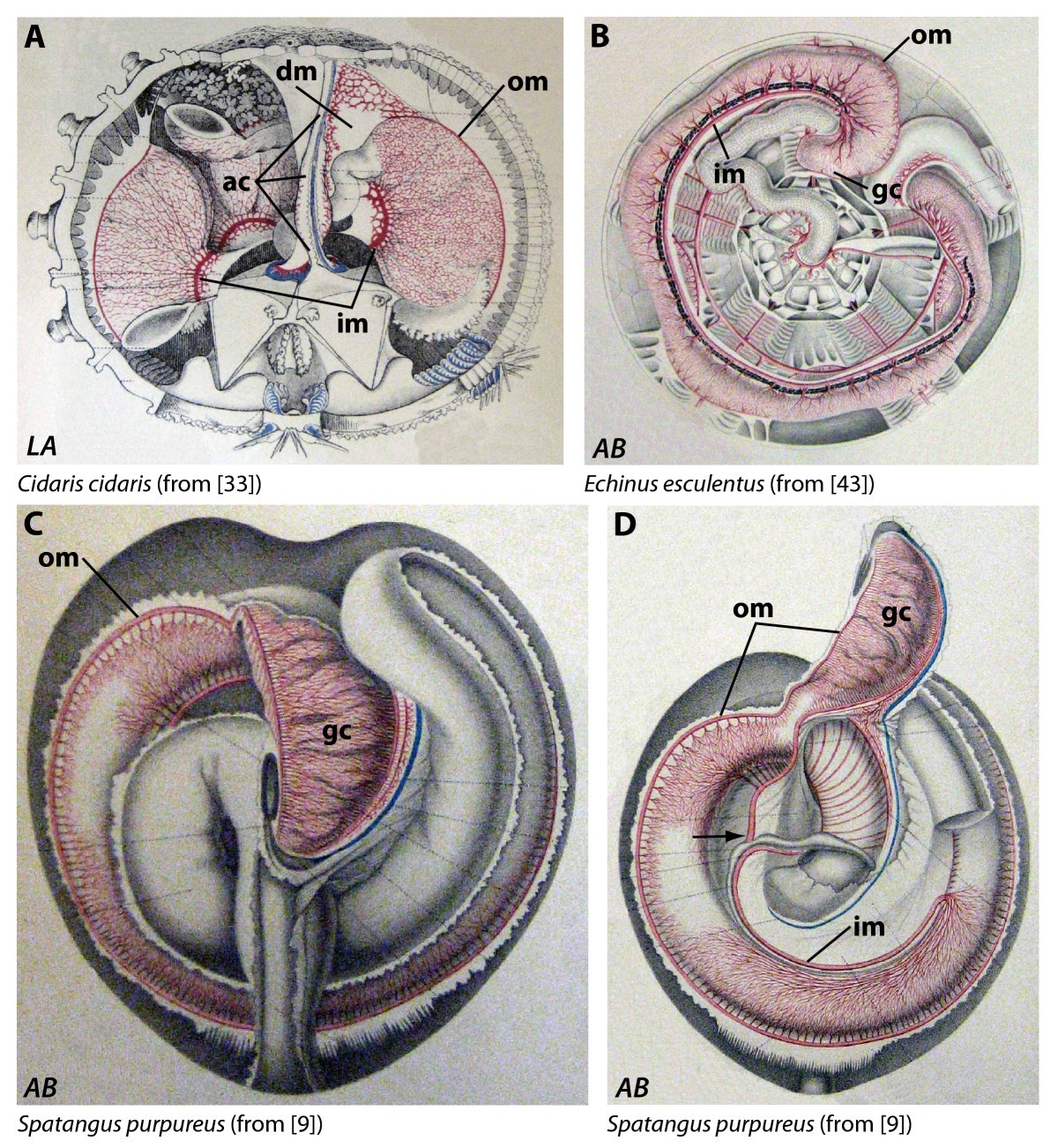 Figure 12