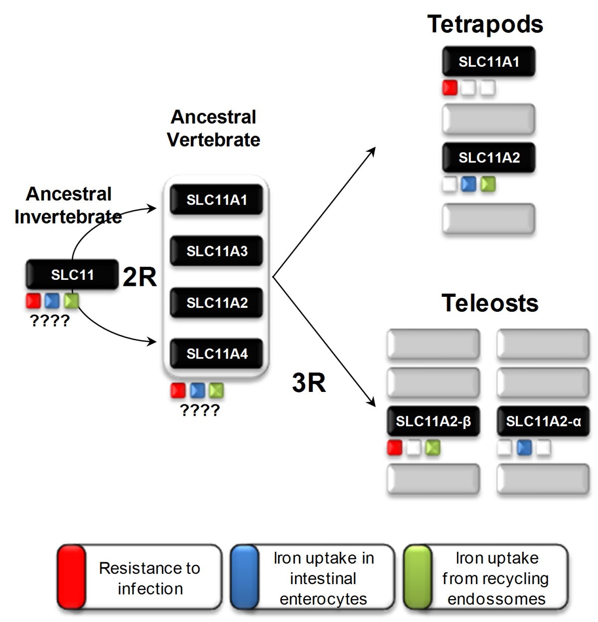 Figure 13