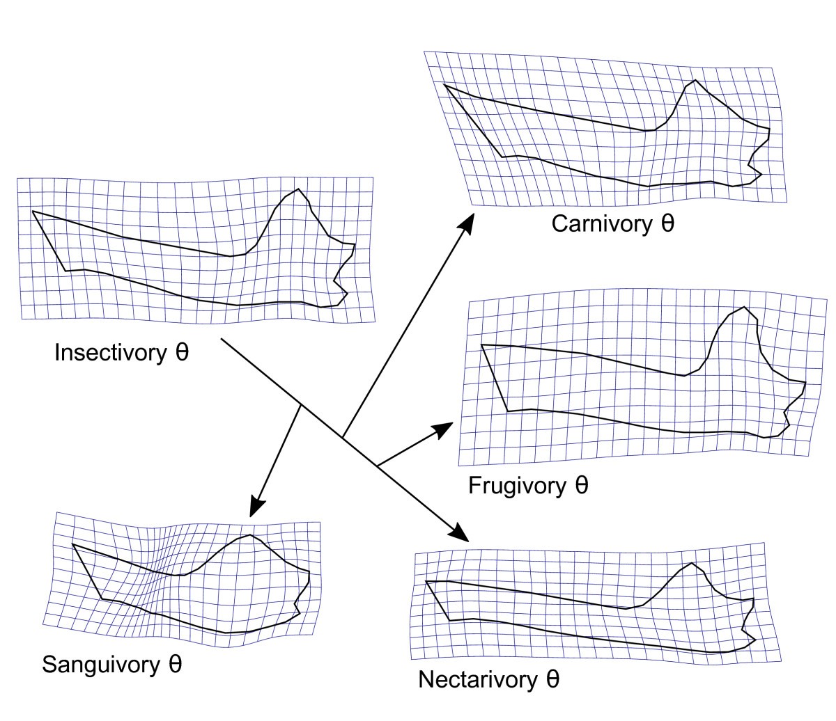 Figure 8