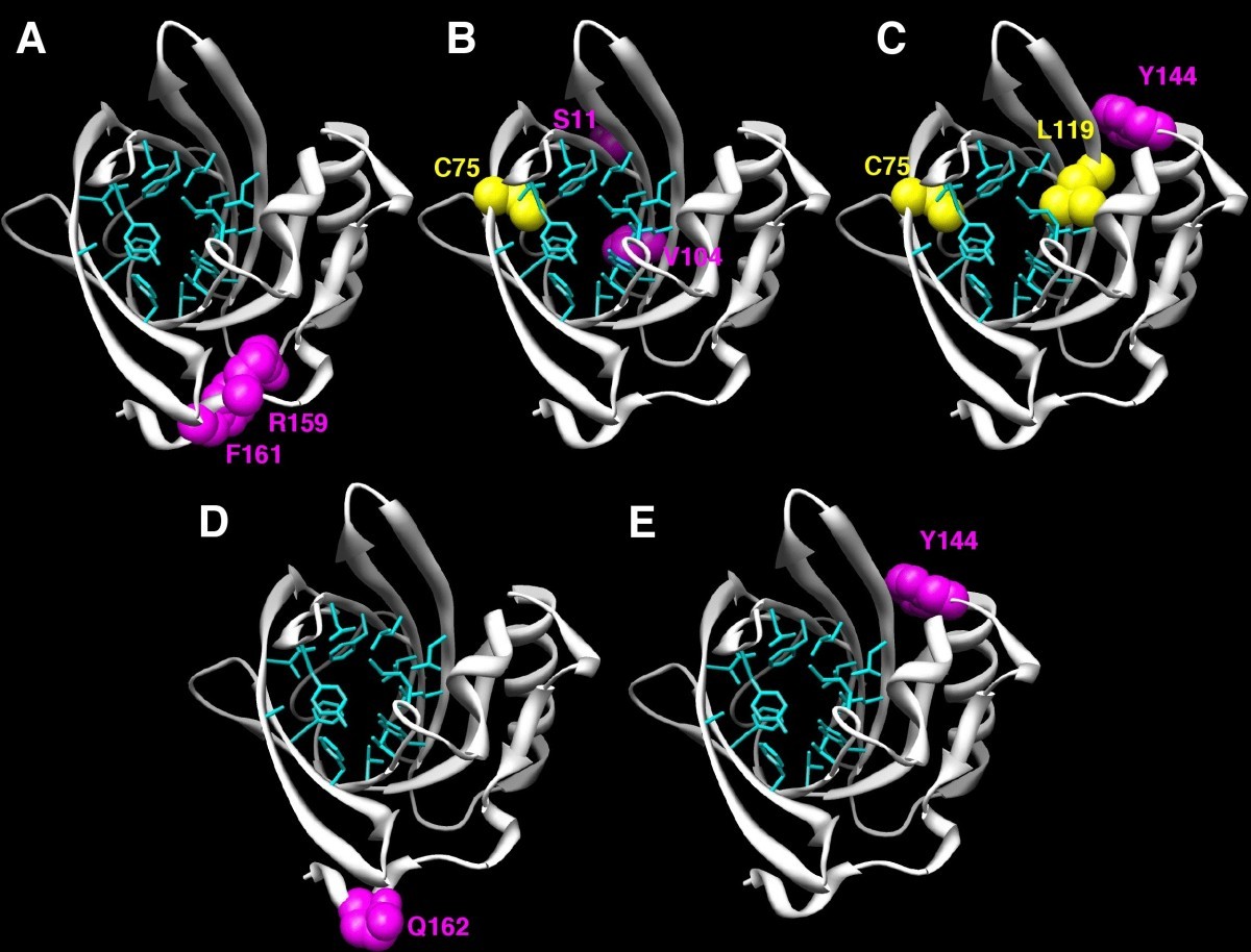 Figure 6