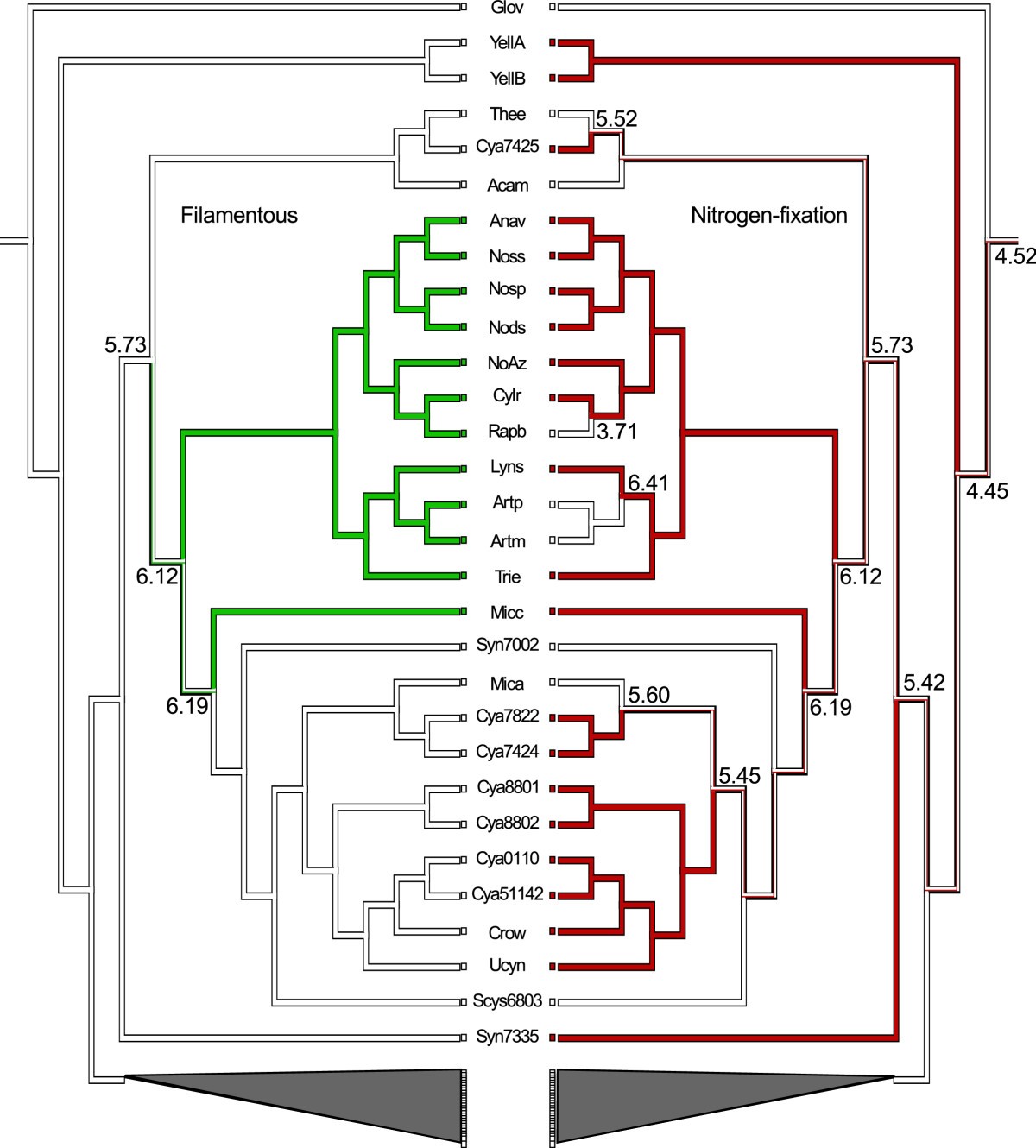 Figure 7